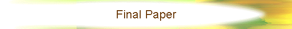 Final Paper