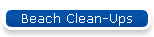 Beach Clean-Ups