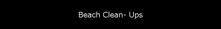 Beach Clean- Ups